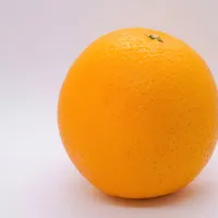 



 

Z zaužitjem ene pomaranče na dan 
zmanjšamo tveganje za možgansko kap za kar 62 odstotkov.