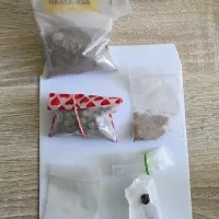 Pri 43-letnem Ajdovcu odkrili heroin, metamfetamine in kokain (FOTO)