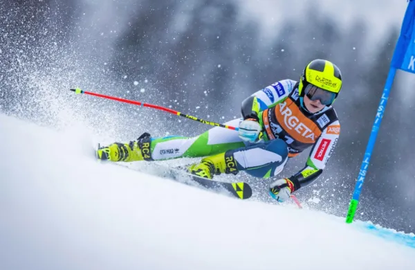 Neja Dvornik