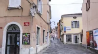 Grb družine Bruti še danes stoji na pročelju palače Almerigotti na 
stičišču Resslove in Kidričeve ulice v Kopru.