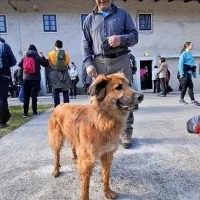 Pohod po prenovljeni Kettejevi poti (FOTO)