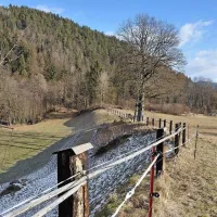 Znameniti travnik, kjer je v   jarku ob robu stal knežji kamen. Bolj 
generična in prazna slika ne bi mogla biti. Deželni muzej bi se 
lahko potrudil in tudi tu postavil tablo, kot jo je pri vojvodskem 
prestolu.