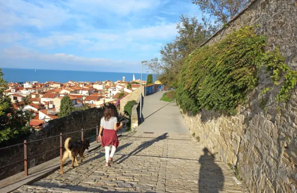 Pod piransko cerkvijo sv. Jurija  so skriti stari vrtovi. 