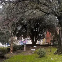 V Portorožu urejajo in osvežujejo zeleno oazo
