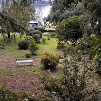 V Portorožu urejajo in osvežujejo zeleno oazo