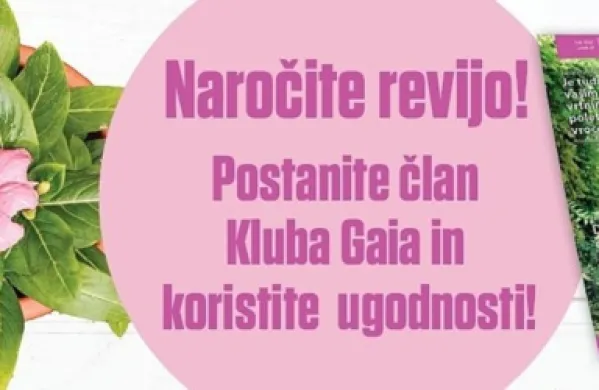 Priprava trate na poletno vročino