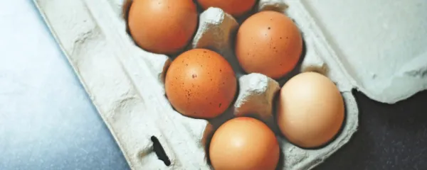Za zadovoljitev dnevnih potreb po vitaminu D3 bi morali vsak dan 
pojesti do 60 jajc.