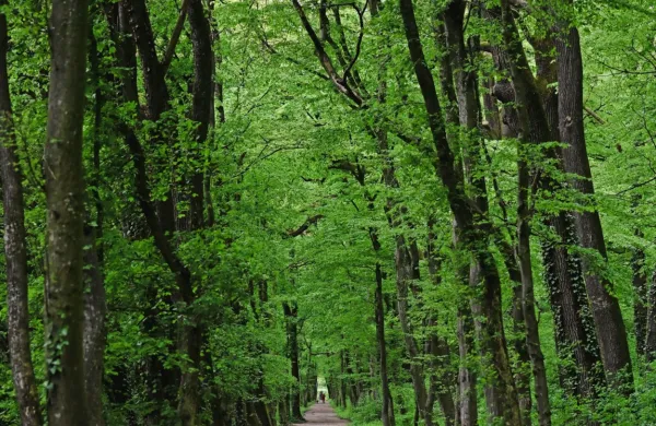 Fotografija je simbolična.