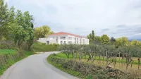 Idejna zasnova bivalne enote Bellavista. V njej bo 24 stalnih enoposteljnih namestitev za oskrbo starejših 
oseb s kompleksnimi zdravstvenimi težavami in oseb z demenco,