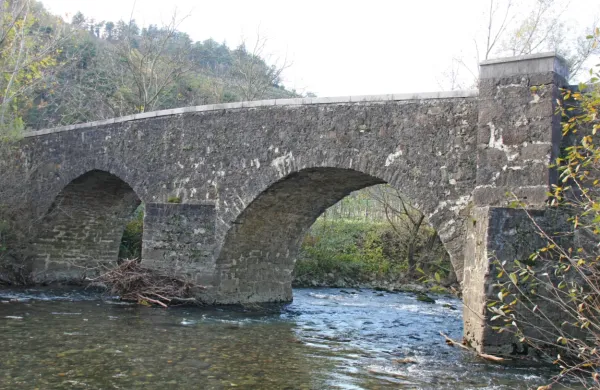 Vipava se je zjutraj začela razlivati. Razlivanja rek možna tudi v petek.