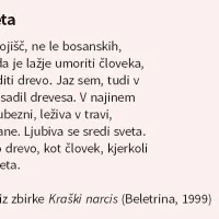 Ko verzi postanejo revolucija, uteha