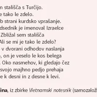 Ko verzi postanejo revolucija, uteha