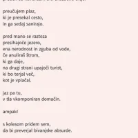 Ko verzi postanejo revolucija, uteha