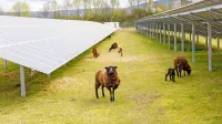 V Sloveniji je po navedbah ministrstva skupnega potenciala za 
umeščanja fotovoltaičnih in agrofotovoltaičnih naprav na kmetijskih zemljišč več kot 131.000 hektarjev, kar predstavlja 22 
odstotkov vseh kmetijskih zemljišč v državi.   