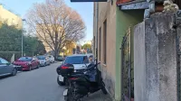 Vodnjanka je del razširjene Morisove družine.
