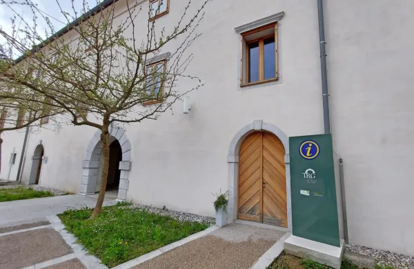 &Scaron;e brez direktorja, a ima vsaj finančni načrt