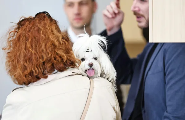 Na Ulici 15. maja v Kopru je minuli konec tedna svoja vrata odprl 
Veterinarski center Obala.