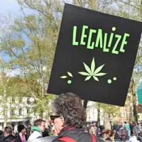 Marihuana marš že od leta 2001 teži k legalizaciji konoplje. 
