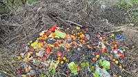   Vonj po fermentaciji nas je hitro pripeljal do divjega odlagališča. 
Najprej smo opazili kupe odvrženega sadja, pod vejevjem pa 
različno belo tehniko, plastiko, gume in podobne odpadke.