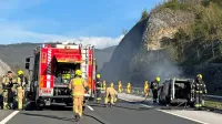 Na primorski avtocesti zagorel avtomobil