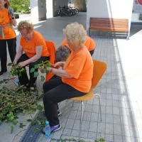 Goričanke in članice dru&scaron;tva &Scaron;ola zdravja so spletle 50 metrov dolgo br&scaron;ljanovo kito za praznični mlaj