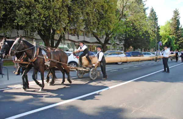Trnovski furmani izvedli 30. tradicionalno furengo (FOTO)