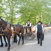 Trnovski furmani izvedli 30. tradicionalno furengo (FOTO)