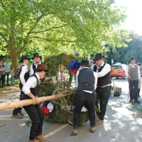 Trnovski furmani izvedli 30. tradicionalno furengo (FOTO)