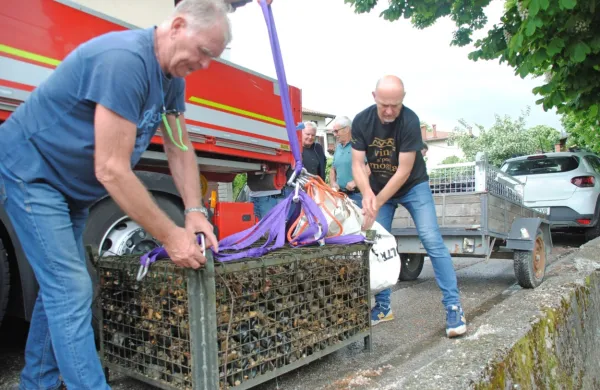 Vsakoletnemu dvigu vina sledi dobrodelna licitacija.