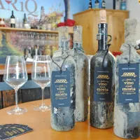V Vipavo potopili peto generacijo vin (FOTO)