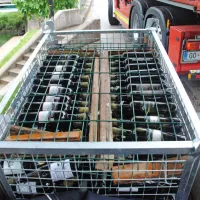 V Vipavo potopili peto generacijo vin (FOTO)