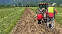  Sadnjo 15-kilometrskega zelenega protivetrnega pasu morajo 
zaključiti do konca maja. 