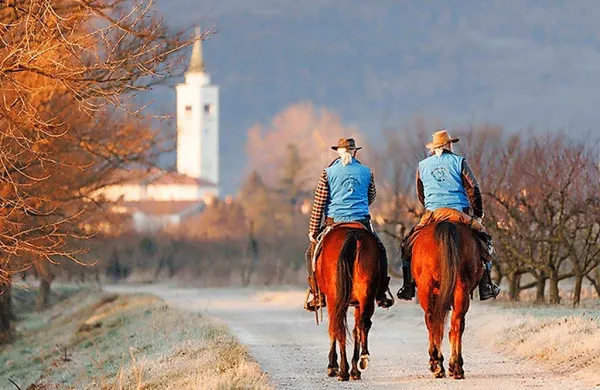  Kras, Vipavsko dolino in Trnovsko-Banjško planoto je povezala    43 
kilometrov dolga  konjeniška pot.