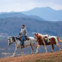 Konjeniška pot  odpira vrata razvoju konjeniškega turizma in ostale 
ponudbe na podeželju.