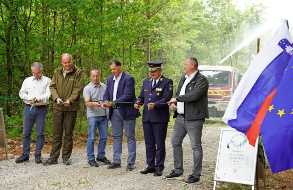 Za večjo varnost pred požari na Krasu že več kot 710 kilometrov protipožarnih presek
