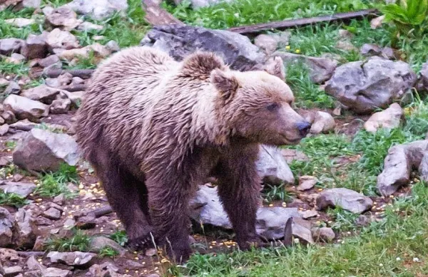Fotografija je simbolična.