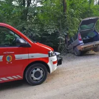 Z vozilom tre&scaron;čil v drevo in se hudo po&scaron;kodoval