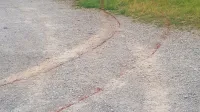 Na sežanskem terminalu je lani prišlo do množičnega pretepa med 
makedonskimi državljani. Enega od udeleženih so hudo poškodovanega odpeljali v izolsko bolnišnico. 