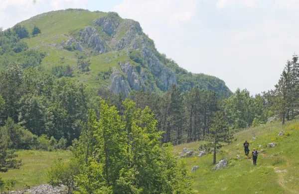 Vrednost ozona je na merilnem mestu Otlica v Trnovskem gozdu 
na nadmorski višini 950 metrov danes ob 17. uri presegla 
opozorilno vrednost. 