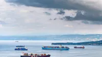 Zaradi nejasne zakonodaje in  pomanjkanja predpisov  pa poklic 
izgublja privlačnost.