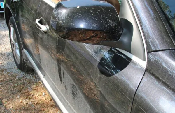 Najboljša preventiva pred vlomilci v avtomobile je prazna notranjost. 

