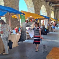 Taverna gosti živalim prijazno tržnico Slovenskega veganskega dru&scaron;tva