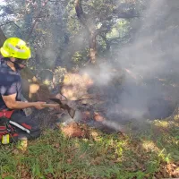 Podtalni požar so krotili iz zraka in na tleh