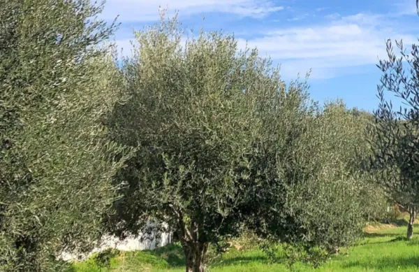 Fotografija je simbolična.