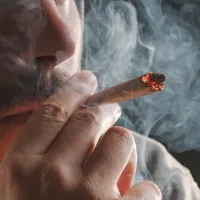Najbolj razširjena prepovedana droga ostaja konoplja, ki jo je že 
kdaj uporabilo 22 odstotkov prebivalcev.