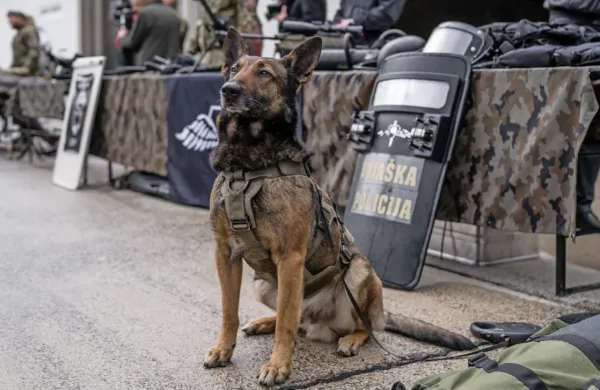 Vojaška policija Slovenske vojske slavi 34 let obstoja.