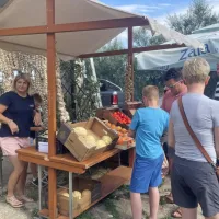 Praznik vina in česna v Novi vasi: kdor prej pride, prej oku&scaron;a
