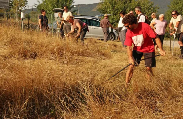 S koso so se spoprijeli tudi obiskovalci.