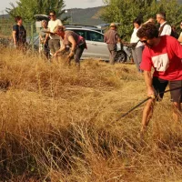 S koso so se spoprijeli tudi obiskovalci.