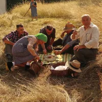 Kosci so se tako kot nekoč okrepčali s tradicionalno malico, s  
krompirjem v zelnici.

